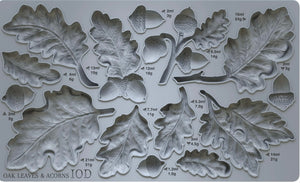 Oak Leaves & Acorns 6X10 IOD Mould