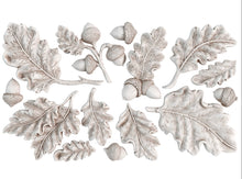 Load image into Gallery viewer, Oak Leaves &amp; Acorns 6X10 IOD Mould