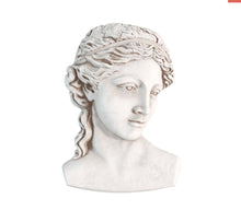 Load image into Gallery viewer, Persephone 5X7 IOD Mould