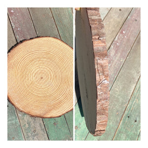 Wood Rounds with Bark