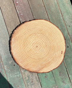 Wood Rounds with Bark