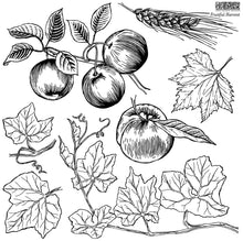 Load image into Gallery viewer, Fruitful Harvest IOD Stamp